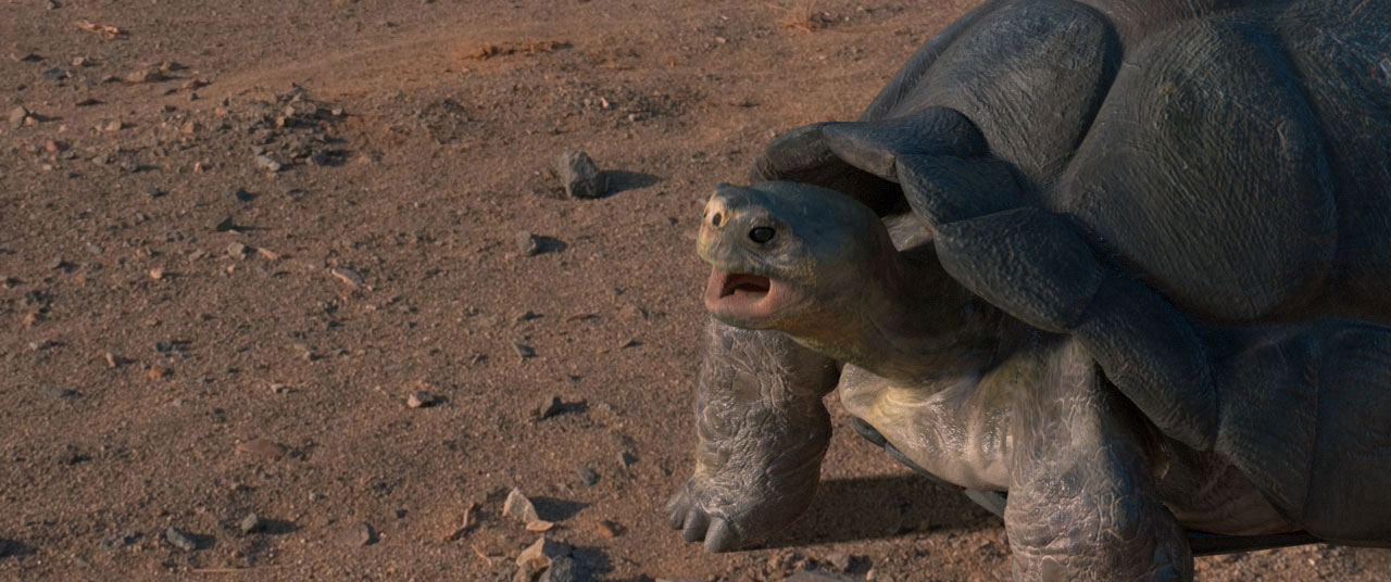 you provide the talent